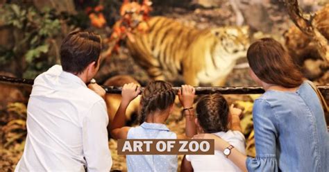 the art if zoo|The Art of Zoo: A Journey Through Creativity, Conservation, and。